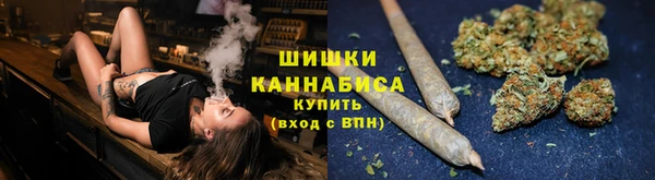 молекула духа Зеленодольск