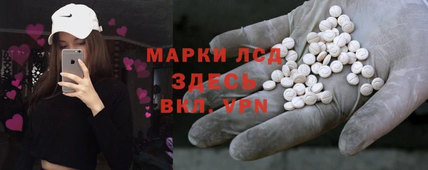 сатива Зерноград