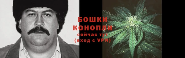 молекула духа Зеленодольск
