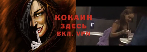 молекула духа Зеленодольск