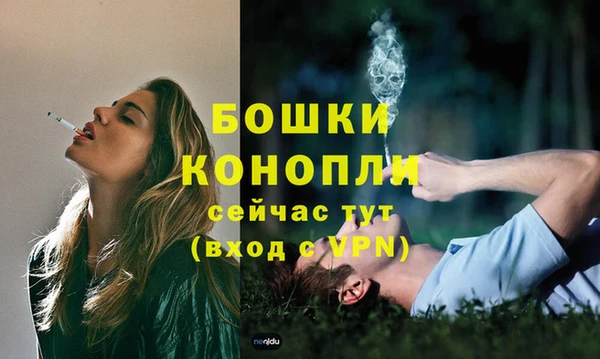 сатива Зерноград