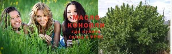 молекула духа Зеленодольск