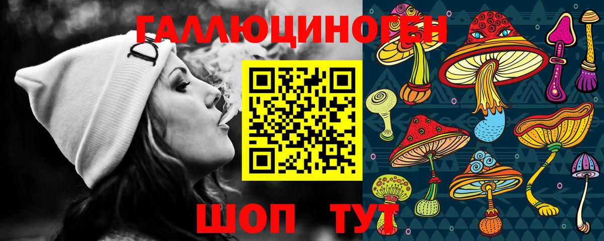 Псилоцибиновые грибы прущие грибы  Вход с VPN  Новочебоксарск 